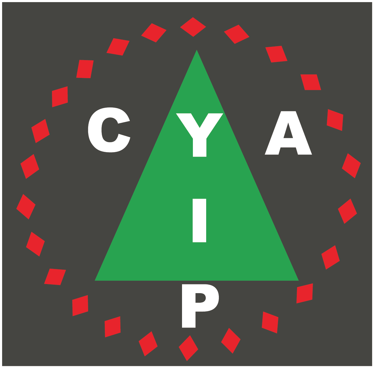 CYIAP NETWORK